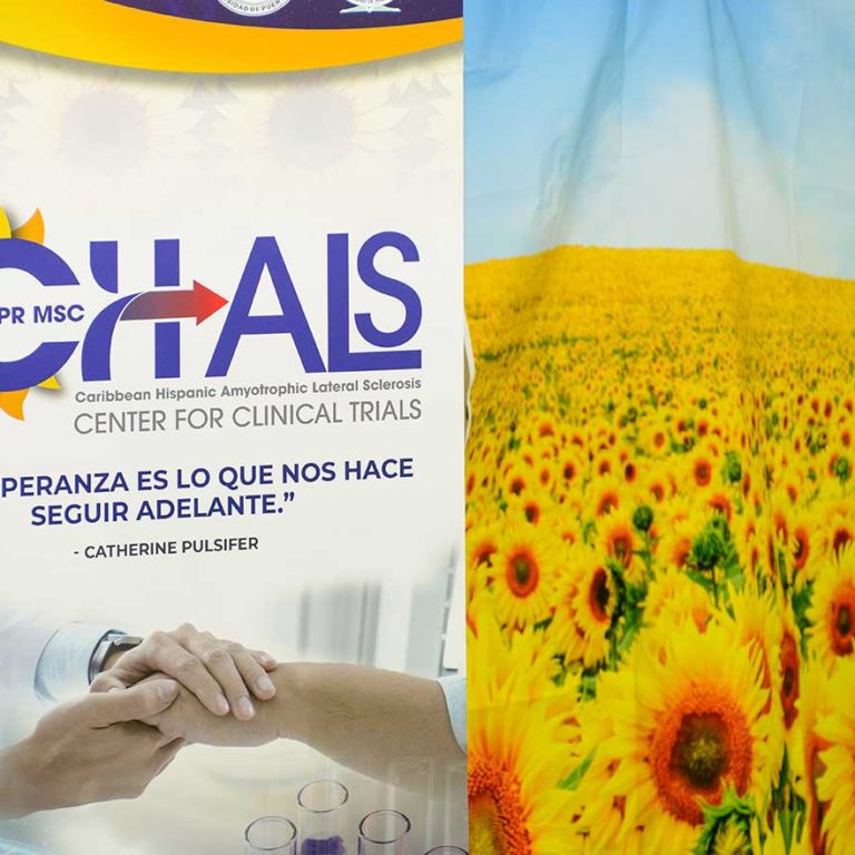 Promocion numero uno