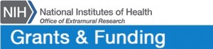NIH grants and funding