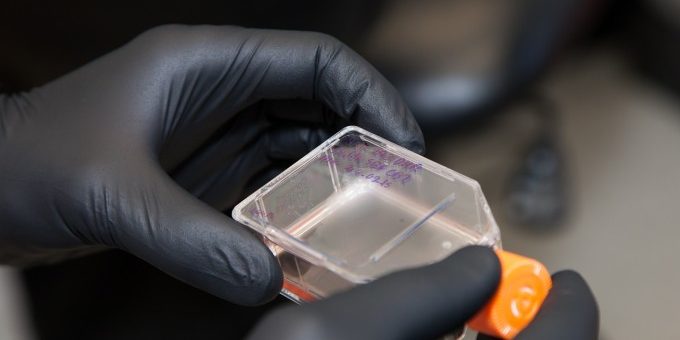 DrGuillermoYudowski-18-foto-por-Yarimar-Jimenez