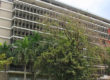 Edificio RCM