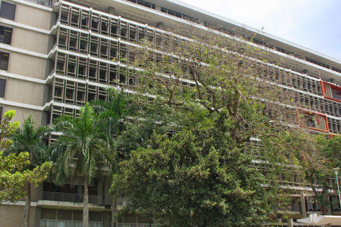 Edificio RCM