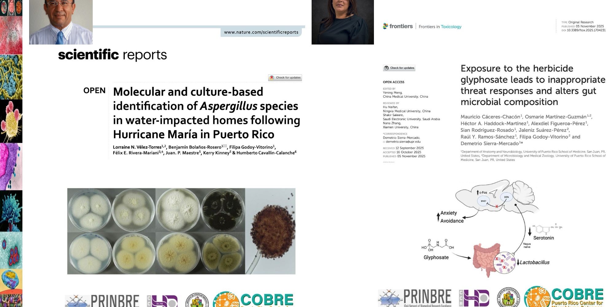 PAPERS RECIENTES 2 Dr. bolanos article