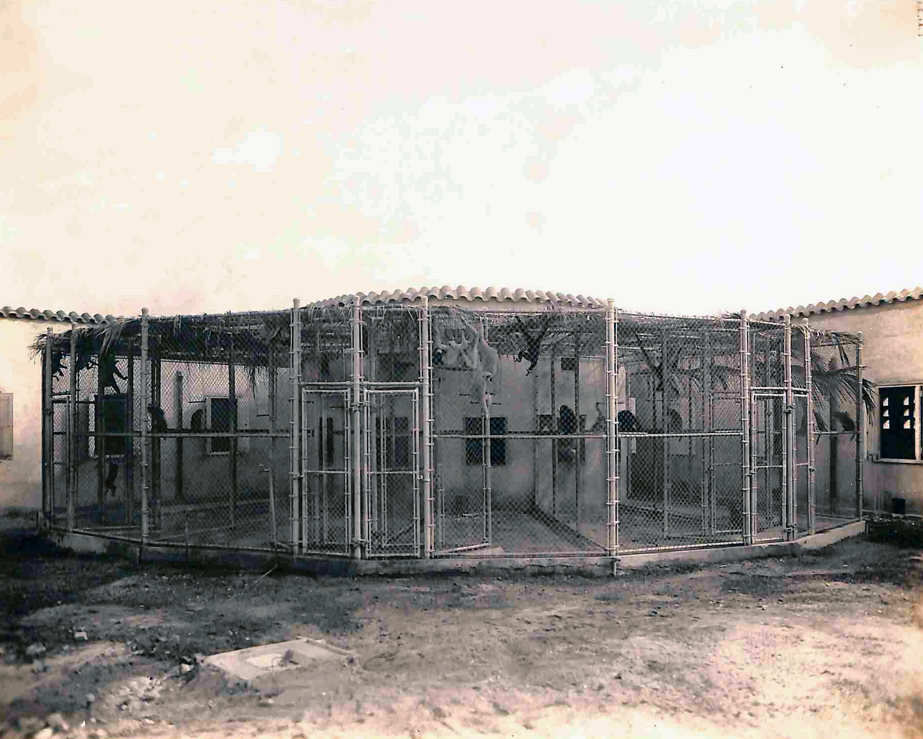 Jaula de monos para experimentación - 1947